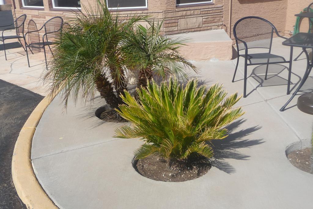 Palms Inn Gila Bend 外观 照片